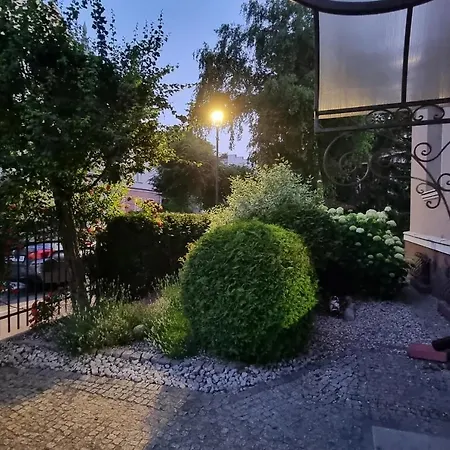 In Center Near The סופוט
