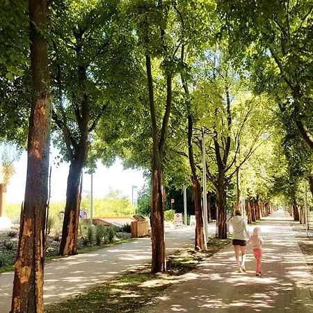 In Center Near The *